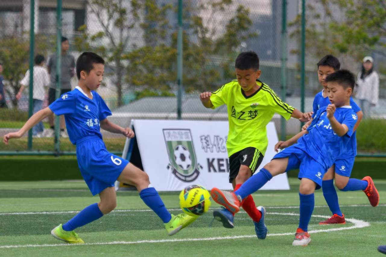 在观看比赛 在观看比赛