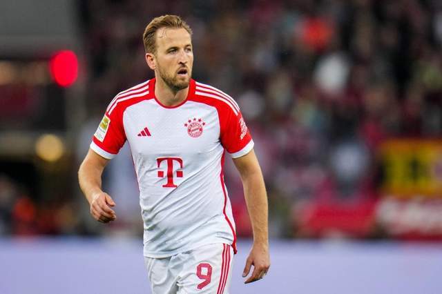 职业生涯的 职业生涯的