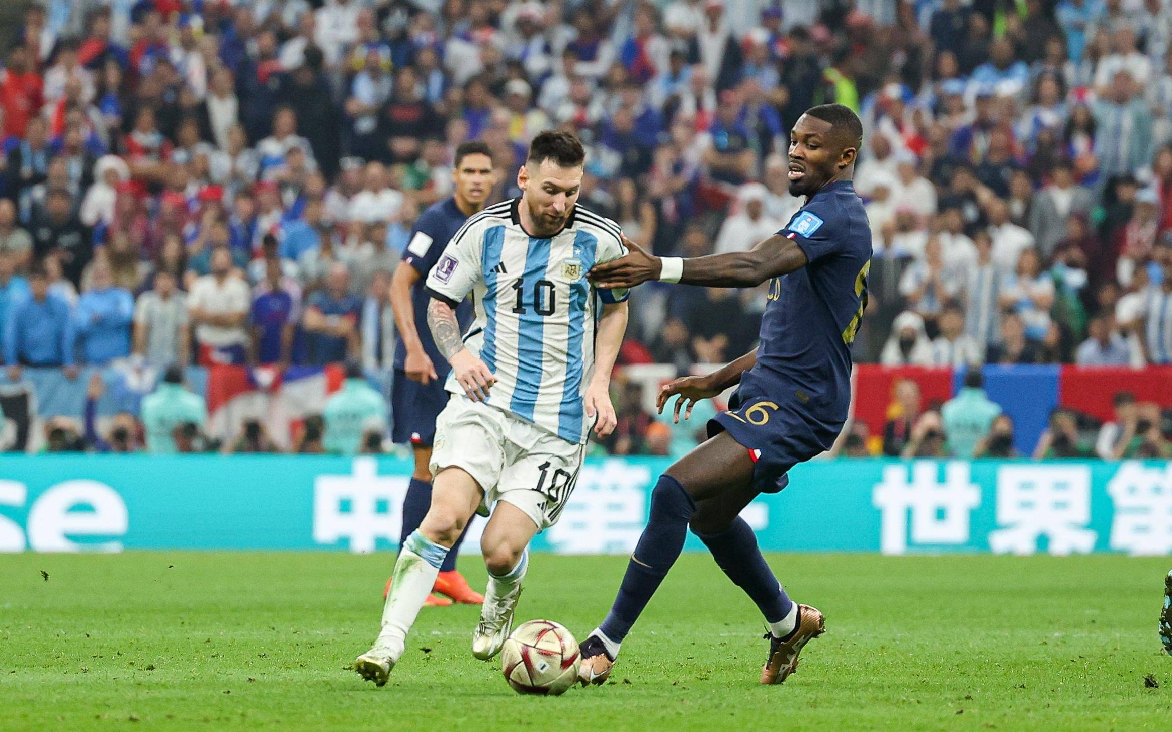 今年的种子 今年的种子